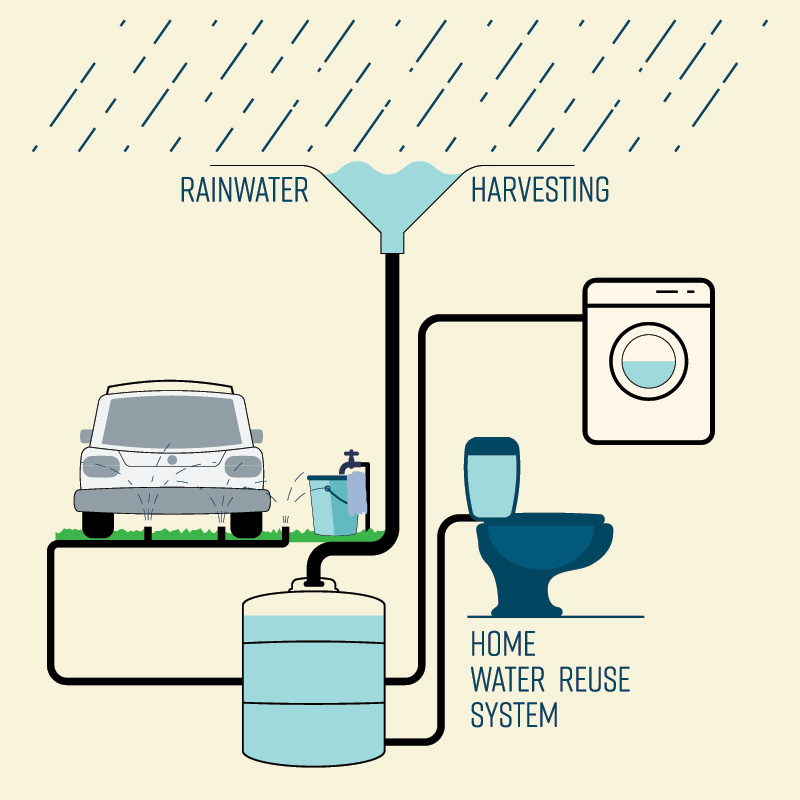 SPE continues growing in 2019